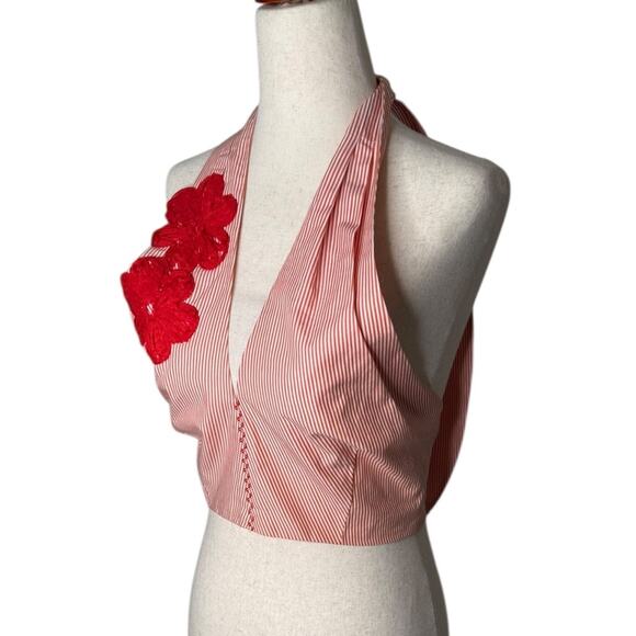 Silvia Tcherassi Eos Embroidered Cotton Cropped Top - Sz Small - Picture 5 of 11